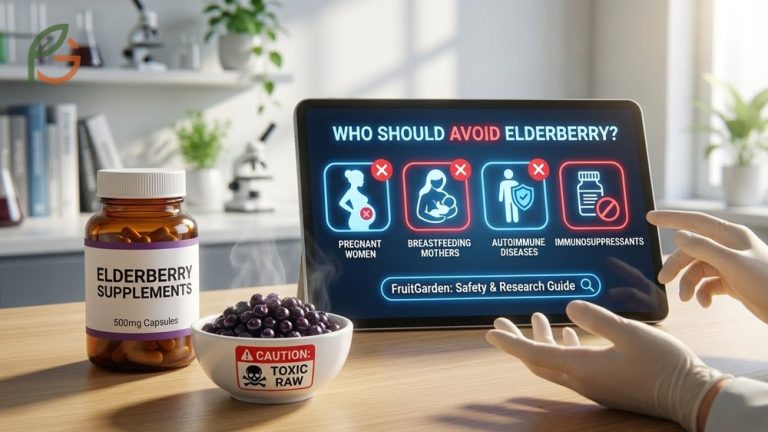 Who should not take elderberry guide covering risks for pregnant women and those with autoimmune conditions.
