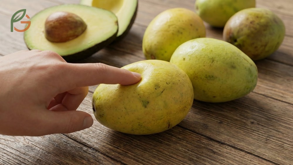 Eating pawpaw guide for selecting ripe fruit with firmness between 0.2 to 0.7 kg and identifying proper texture.