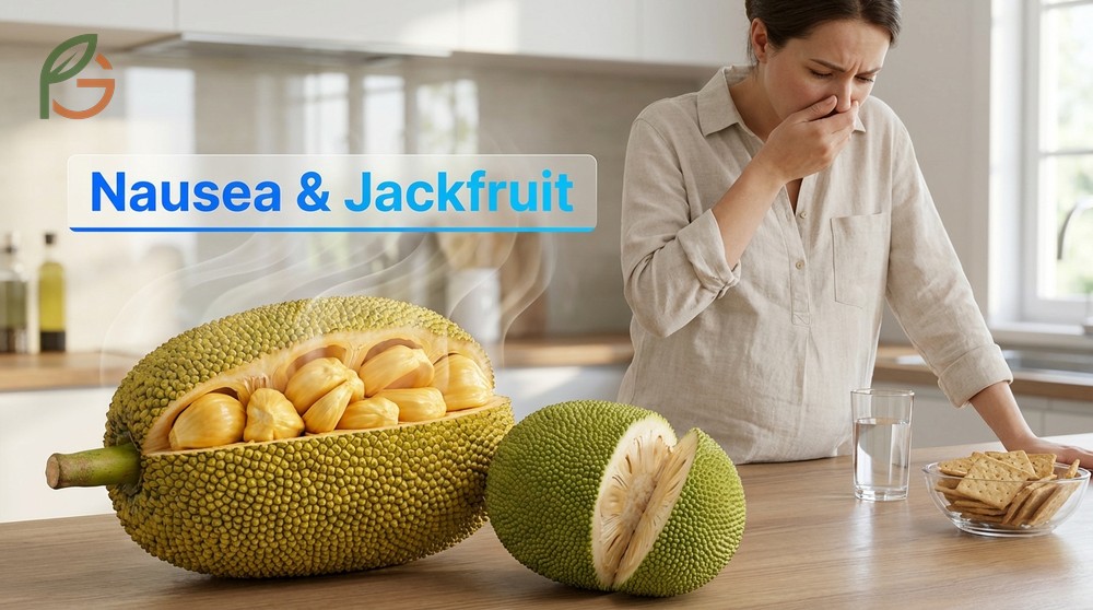 Nausea and jackfruit aroma can be managed by eating cold fruit or blending frozen pieces into smoothies.
