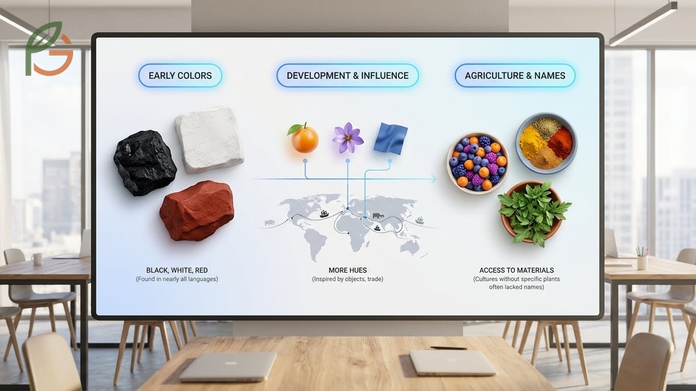 What came first the color orange or the fruit color naming history describing previous terms like yellow red and saffron.