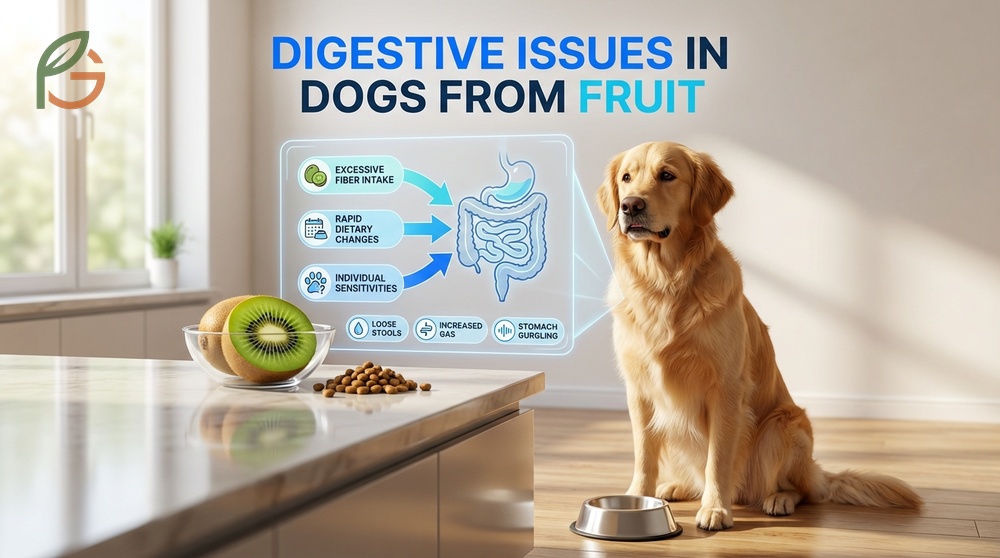 Digestive issues in dogs from fruit include loose stools and gas from excessive fiber intake.