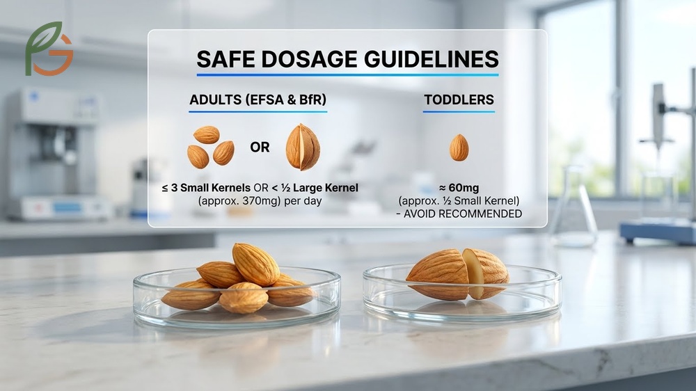 Safe dosage and side effects guidelines recommend limiting intake to fewer than three small kernels daily.