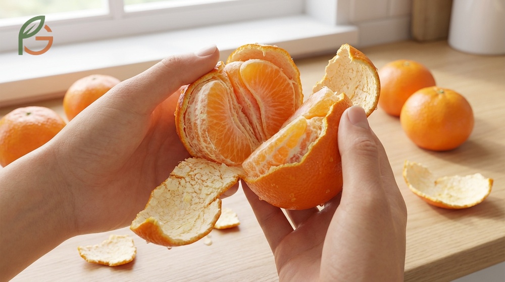 How to peel a tangerine utilizes the zipper skin structure that peels 3 times faster than standard oranges.