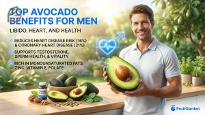 Top Avocado Benefits for Men: Libido, Heart, and Health