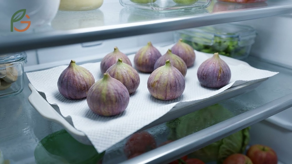 Storing fresh figs on a paper towel lined tray to prevent spoilage and extend shelf life in the refrigerator.