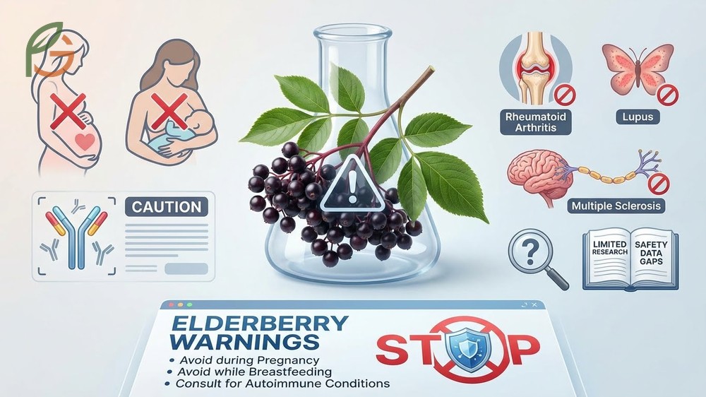 Elderberry warnings advise avoidance for pregnant women and those with autoimmune disorders.