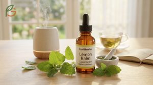 Lemon balm essential oil bottle displayed with fresh leaves for treating cold sores and reducing anxiety naturally.