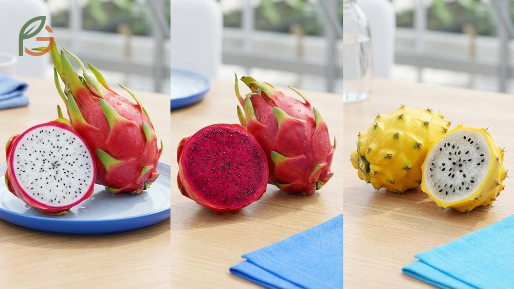 Dragon fruit variety comparison highlighting price differences and availability of white versus red types in markets.