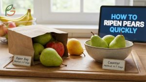 How to Ripen Pears Quickly: Storage and Counter Methods