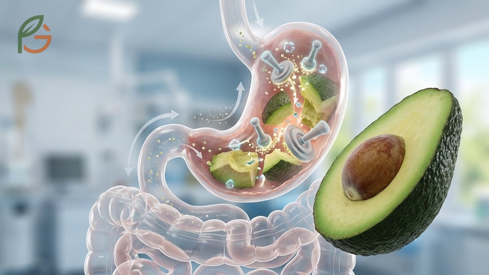 Digesting hard avocado issues covering potential stomach aches and high fiber content effects.