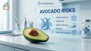 Why Avocado Is Not Good for You: Side Effects and Risks