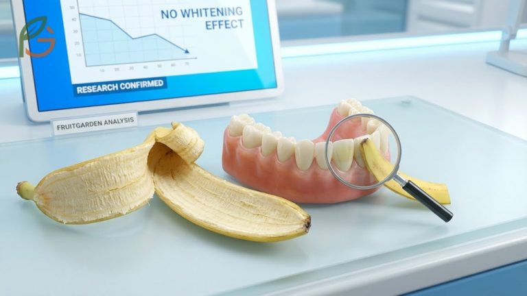 Banana peel for teeth whitening examined through dental research regarding efficacy and enamel safety.