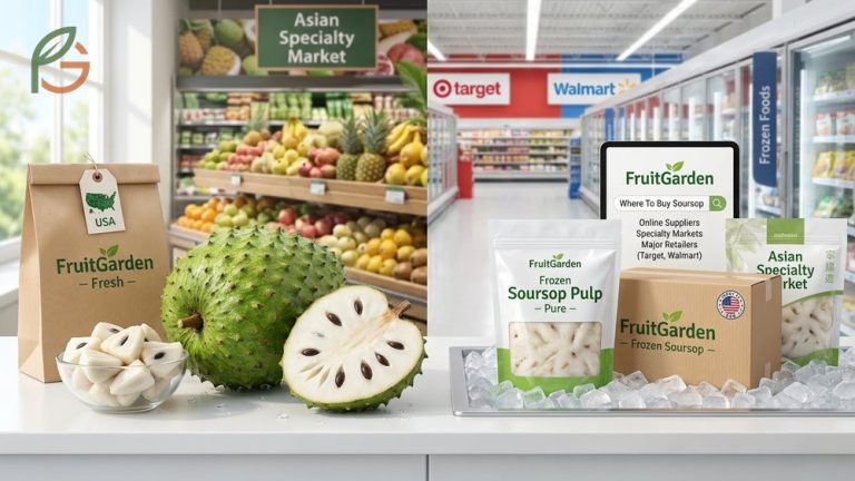Where to buy soursop fruit options showing availability of fresh fruit and frozen pulp at major US retailers.