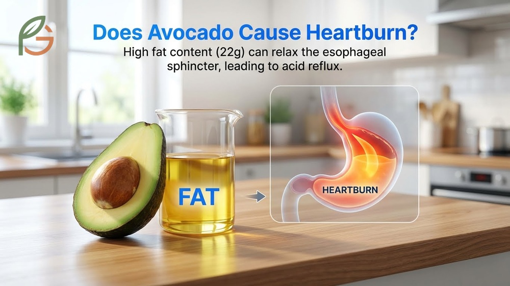 Does avocado cause heartburn risks due to 22 grams of fat per fruit relaxing the lower esophageal sphincter.